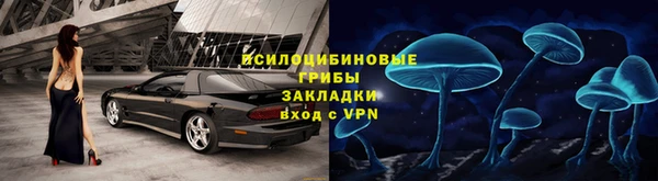 прущие крисы Аркадак