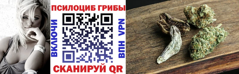 Псилоцибиновые грибы Psilocybe  Белово 